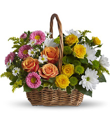 Sweet Tranquility Basket from Gilmore's Flower Shop in East Providence, RI